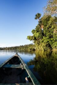 Tour por el río Amazonas Colombia con transporte incluido