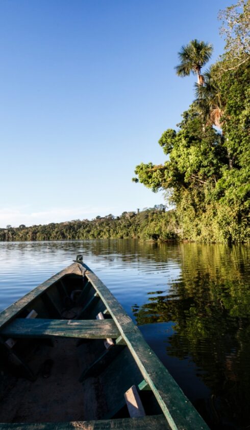 Amazonas