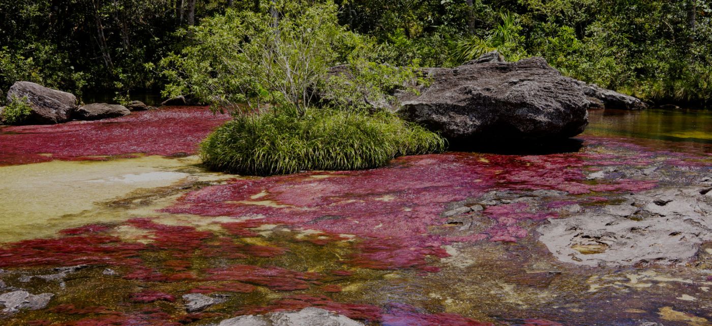 Paquete turístico a Caño Cristales con hospedaje