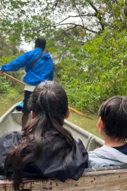 Enmascarar grupo 4190