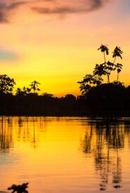 Paisaje Selva Amazónica