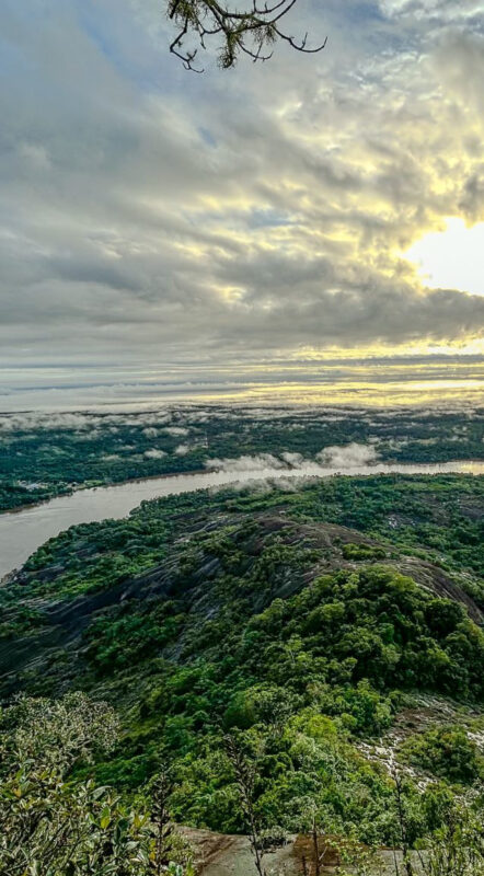 Enmascarar grupo 4190__