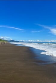 Viaje inolvidable de avistamiento de ballenas en Bahía Solano