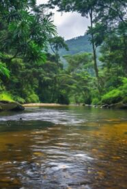 historia indígena del Guaviare