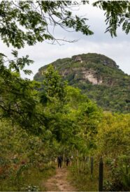 sitios arqueológicos del Guaviare