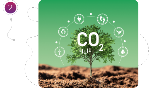 Compromiso de Novatours con el planeta